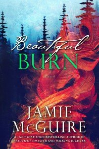 31stJAN16- Beautiful Burn by Jamie McGuire